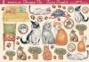 Papier voile, chat