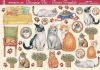 Papier voile, chat