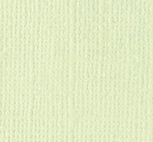 Papier scrapbooking Bazzill, 30,5x30,5cm, aloe vera