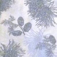 Tissu de Nol