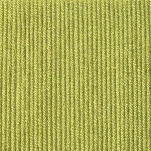 Laine Schachenmayr, Micro Grande, vert kiwi