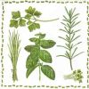 Serviette, herbes de cuisine