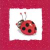 Serviette, coccinelle