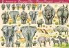 Papier voile, éléphants et rhinocéros
