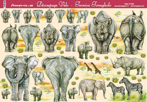 Papier voile, éléphants et rhinocéros